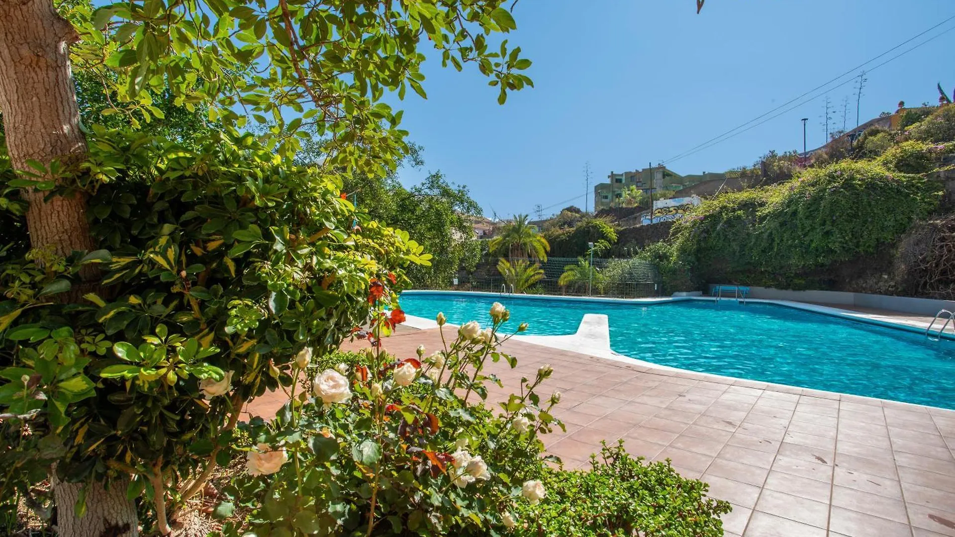 Apartament Estudio Bel Air Puerto de la Cruz  Hiszpania
